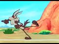 Wile e runs into wall