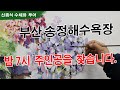 7월 1일 저녁 7시~ 부산송정해수욕장 [야외수채화 공개시연] watercolor painting TV