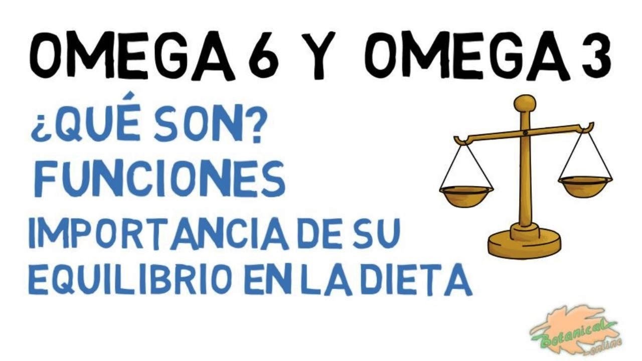 OMEGA 3 Y OMEGA 6 Qué son, propiedades y alimentos YouTube