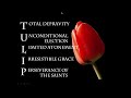 Rom 8:20
