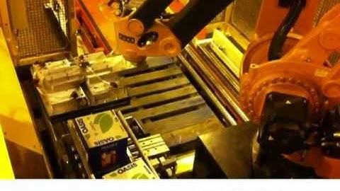 LOW COST PALLETIZER by Mecano Industrie