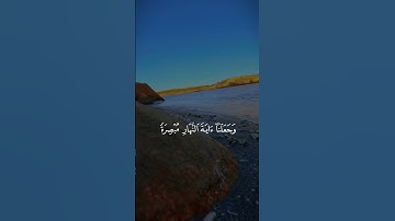 ويدع الإنسان بالشر دعاءه بالخير وكان الإنسان عجولا) #ياسر_الدوسرى #قران كريم