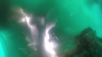 mv Intrepid 02 01 19 Propeller Video 02 of 02