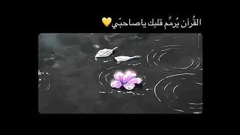 حالات واتس أب قرأن ....القارئ سالم الرويلي #أرح قلبك ♡