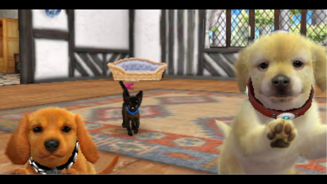Nintendogs Live 6: Nintendogs+Cats Golden Retriever Version - YouTube