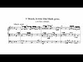 J. S. Bach - O Mensch, bewein dein Sünde gross | BWV 622 (Hauptwerk - Noordbroek)