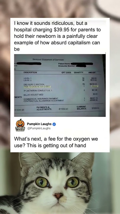 They Charging For Air 😭 #memes #shorts #relatable