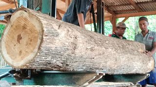 sawing teak wood with amazing techniques