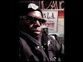 Ruff Rhymes Remix. King Tee. 1990