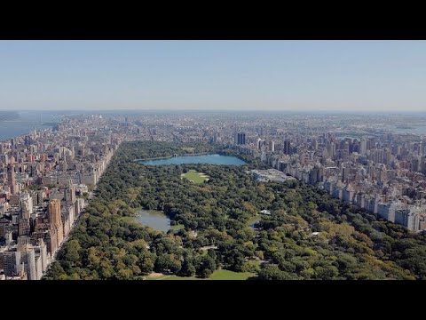 Videó: A 10 legmagasabb épület New Yorkban