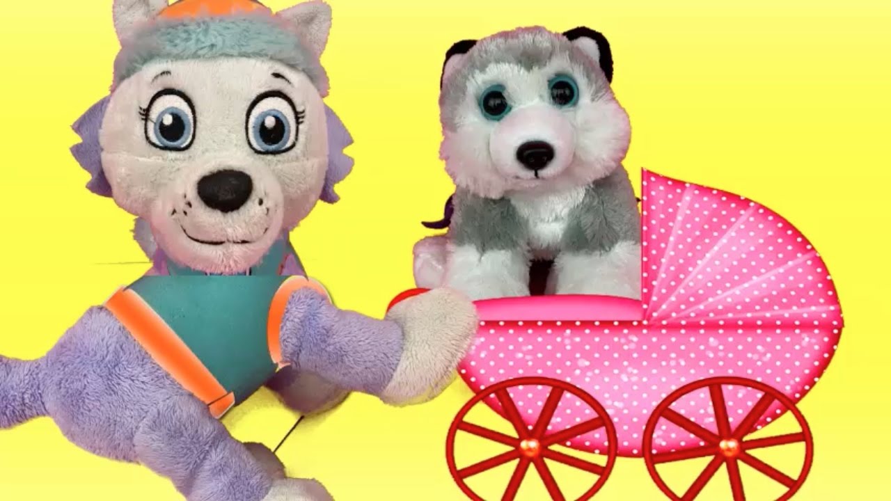 bebesita Paw patrol EVEREST SAVE NEW PUPPY IN THE POOL /New paw patrol episodes spanish
