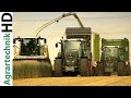 Claas jaguar 980  5x fendt 936 traktoren im einsatz  grnroggenhckseln