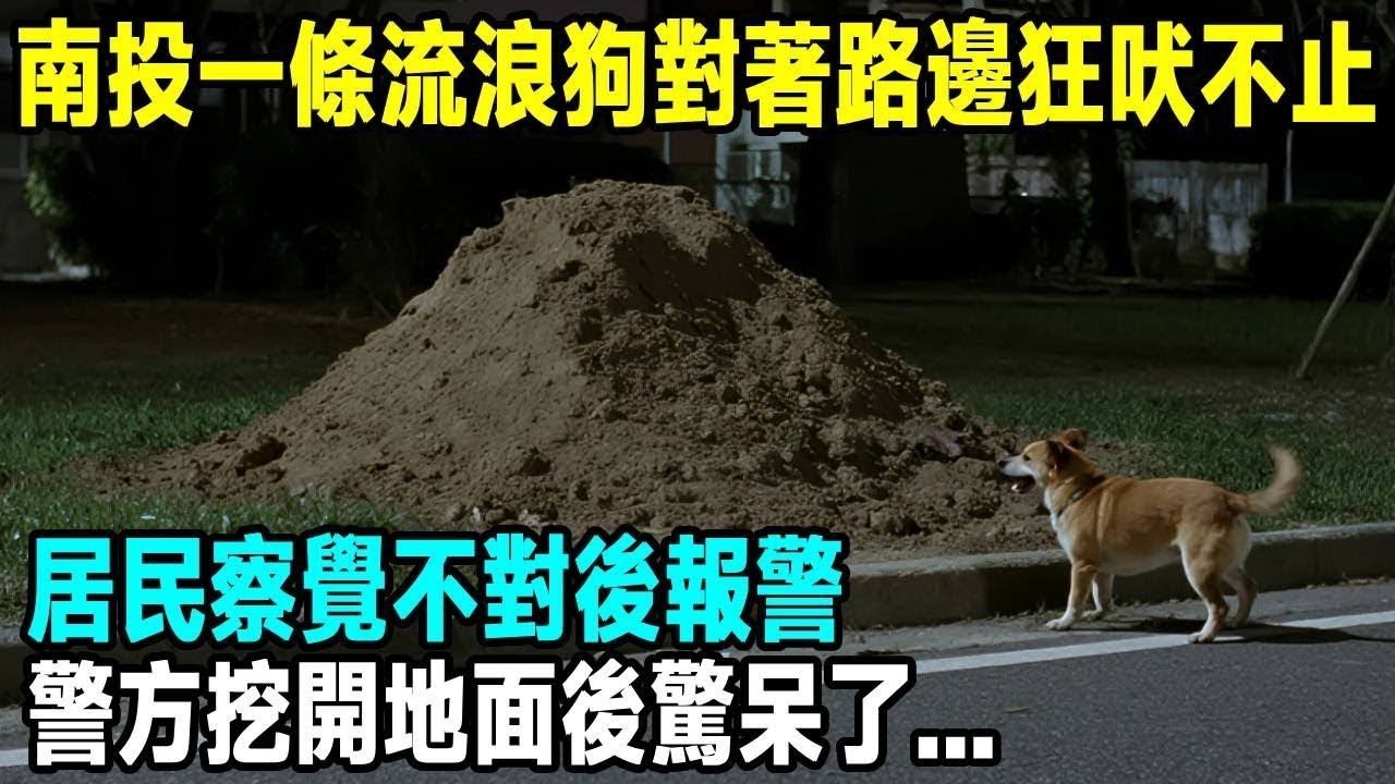 南投一條流浪狗對著路邊狂吠不止，居民察覺不對後報警，警方挖開地面後驚呆了   「茶桌老故事」