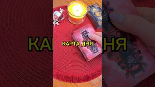 Что тебе скажут карты таро? #таро #tarot #shorts