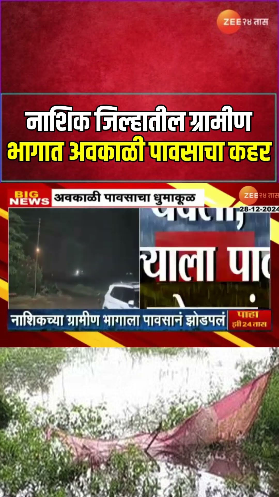 Nashik Rainfall | नाशिक  जिल्हातील ग्रामीण भागात अवकाळी पावसाचा कहर;पावसाचा रब्बी पिकांना फटका