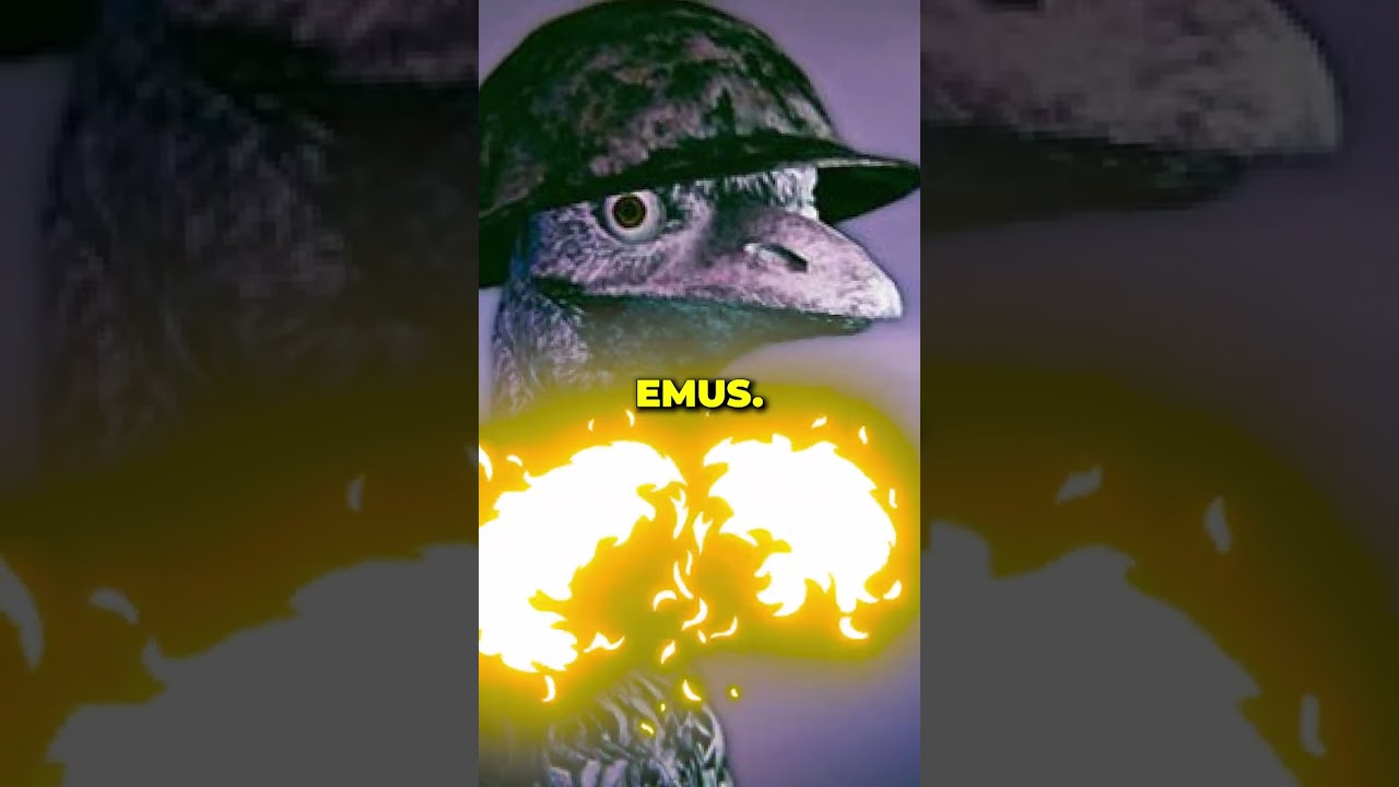 History facts your teacher doesn't tell you about, part 2. 