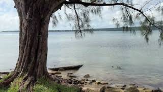 Details Intriguing Vanuatu - “Million Dollar Point” and the Blue Holes are must see.  News