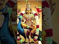 #devotional #murugan #palani #god #god song ##viral #viral video #tiru #palani temple #beauty #cover