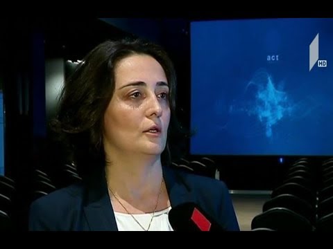 „ეი-სი-თი იმპაქტ“ - საკონსულტაციო ჯგუფის პრეზენტაცია