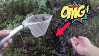 Crawfish Catch & Cook + Stopped By FWC OFFICER ( Orlando Florida) Profile
