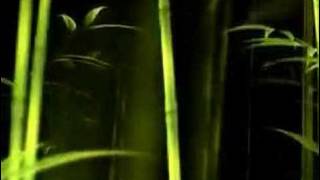Precision Cuts - The Switch Music Video
