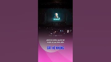 Cát xê khủng của Mỹ Tâm và Sơn Tùng MTP #mytam #sontungmtp