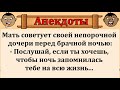 Сборник весёлых анекдотов!  Анекдот про десять устриц и первую брачную ночь!