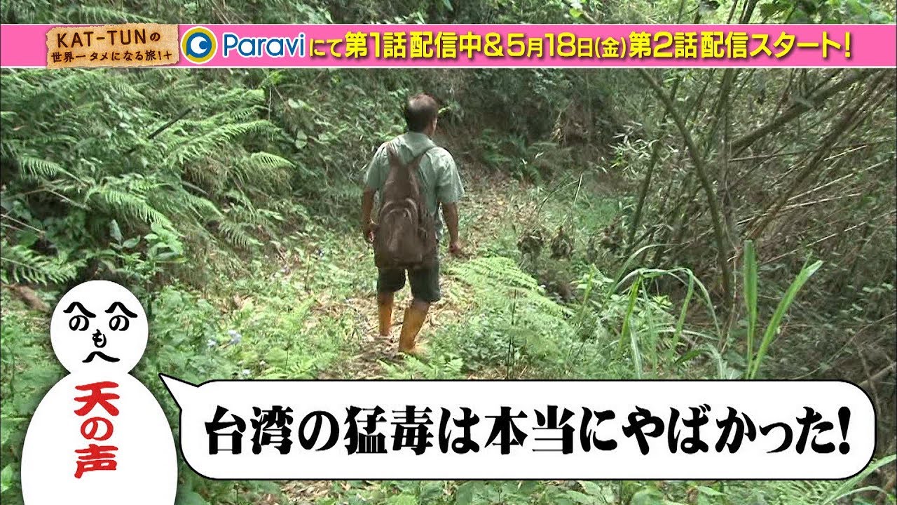 公式実物KAT-TUN のタメ旅 + プラス マイナーだけど憎めない認定証 公式実物KAT-TUN のタメ旅 + プラス マイナーだけど憎めない認定証