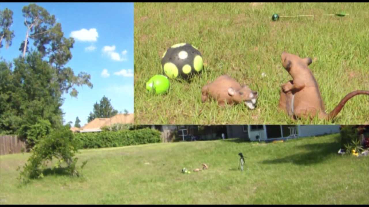 Backyard Mini 3d Archery Range Youtube Backyard Mini 3d Archery Range Youtube