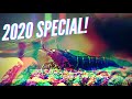 ⭐2020 SPECIAL⭐| RoyalShrimp.de | Zwerggarnelen ULTRACUT