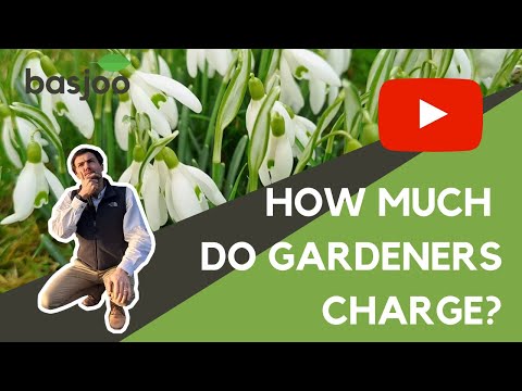 How much do Gardeners charge? - PRO tip from a Professional Gardener hqdefault