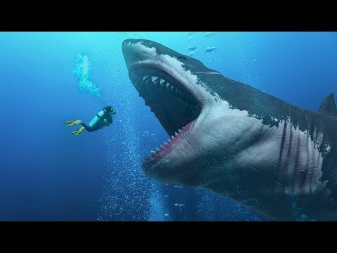 فيديو: هل كان ميغالودون أكبر من قرش الحوت؟