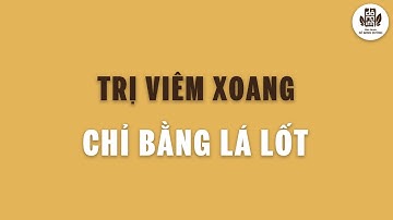 Trị viêm xoang chỉ bằng lá lốt - Đỗ Minh Đường