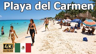 Playa del Carmen - 4K Walk on the BEST Beach in Mexico