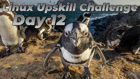[Day 12] Transfer files - Linux Upskill Challenge