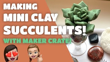 Making a Clay Succulent Garden?! A Maker Crate unboxing and project review!
