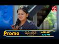 Vasundara Latest Promo | Episode No 291 | 5th May 2026 | ETV Telugu