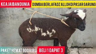 Download Lagu VIRAL!! DOMBA BERLAFADZ ALLOH DI PASAR GARUNG WONOSOBO//PAKET HEMAT 900 RIBU  BELI 1 DAPAT 3 MP3