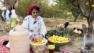Countryside Cooking | Beef Filled Eggplants | Village Life in Iran | Outdoor Cooking