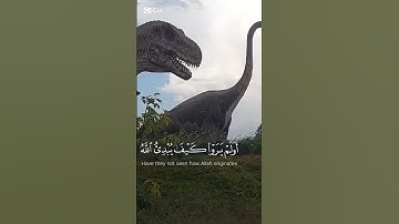 أولم يروا كيف يبدأ الله الخلق ثم يعيده -  سورة العنكبوت، الآية 19