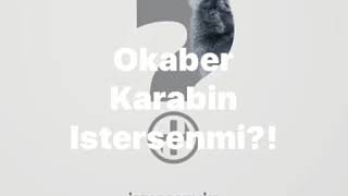 Okaber Karabin-Isdersenmi?! SOUNDS Resimi