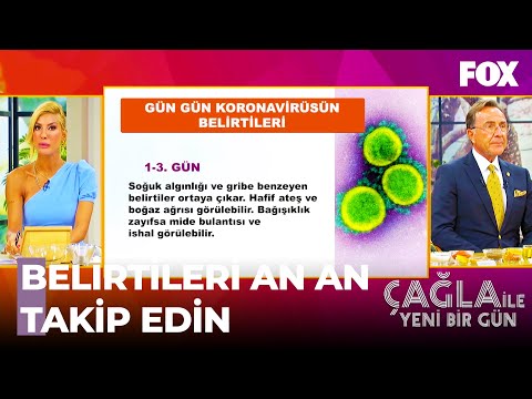 Gün Gün Koronavirüs Belirtileri Nedir? - Çağla ile Yeni Bir Gün 453. Bölüm