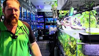 More and more awesome aquarium fish 