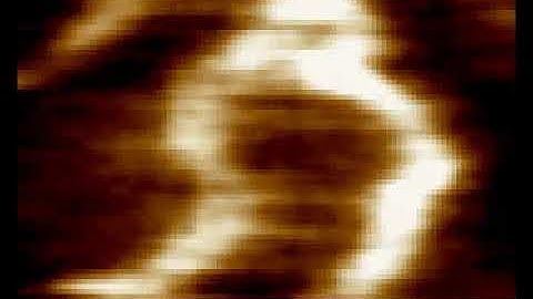 High-Speed Atomic Force Microscopy - DNA imaging at 50 frames per second