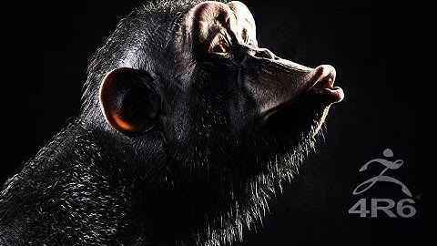 Three Apes  - Zbrush + Keyshot