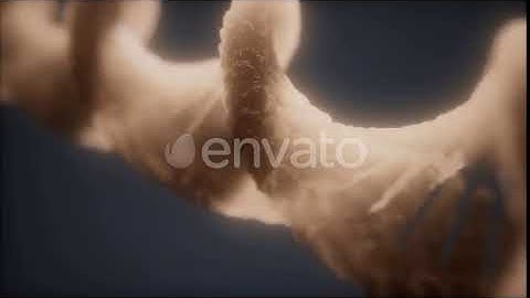 Loopable Structure of the DNA Double Helix Animation | Motion Graphics - Videohive template