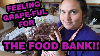 Food Bank Haul 7/23/23 with Preserving! How do I handle THIS many grapes...?