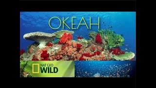 Океан   Самое Странное Место В Океане  National Geographic  Документальные Фильмы  Морские Обитатели