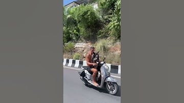 man with a dog on Koh Samui island🏝️