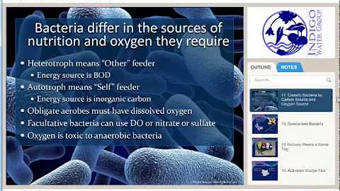 Activated Sludge Basics YouTube